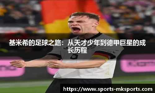 MK体育官网